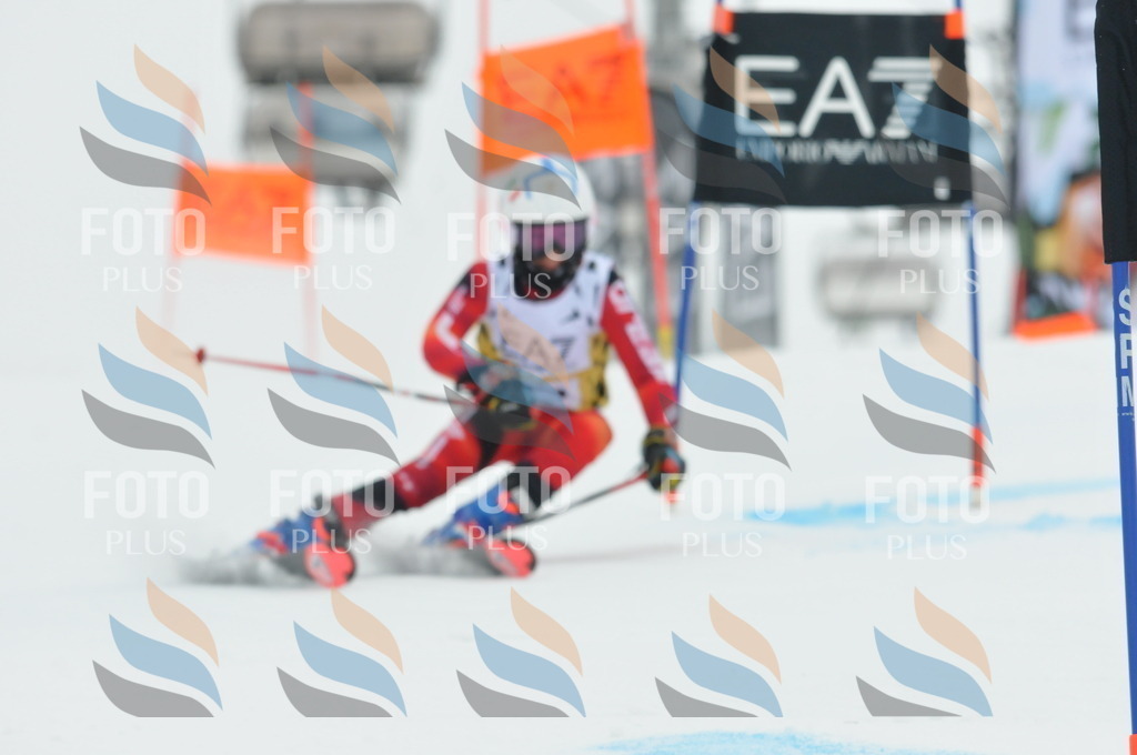 DSC_8526 | holidayphoto