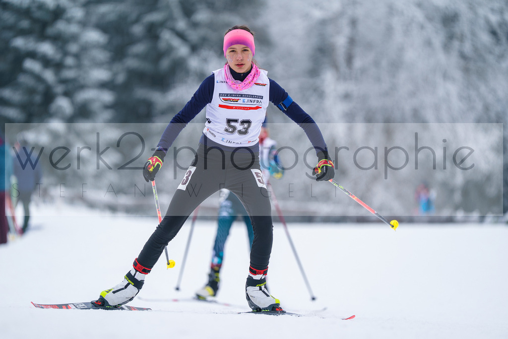 DSC Altenberg | 2. DSV E.INFRA Schülercup Biathlon in der SPARKASSEN-Arena Altenberg am 23. - 25. Januar 2026