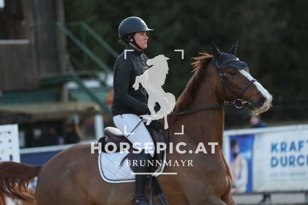 0P6A8531 | Willkommen bei Brunnmayr - Design & Fotografie – Ihrem Spezialisten für Reitturniere und Pferdeveranstaltungen in Oberösterreich, Salzburg und Bayern! Seit über 17 Jahren sind wir leidenschaftlich dabei.