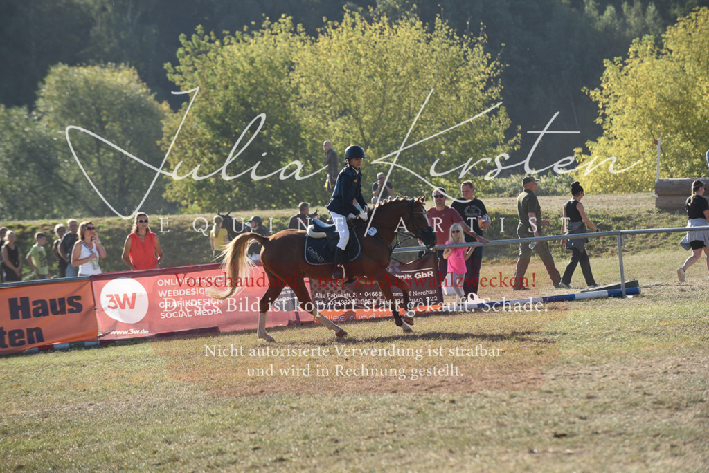 DSC_5645 | Pferde- und Turnierfotografie in Westsachsen. Pferdeportraits, Auftragszeichnungen und intuitive Kunst.
