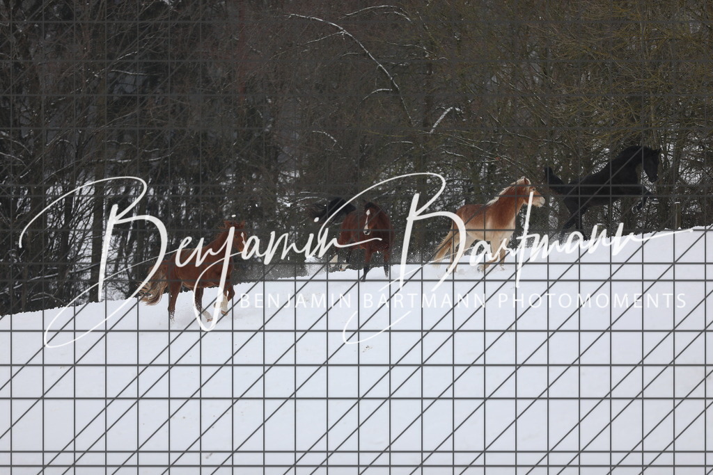 AZ2A3345 | Benjamin Bartmann Photomoments