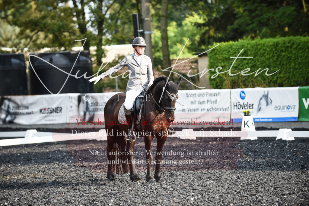 DSC_3320 | Pferde- und Turnierfotografie in Westsachsen. Pferdeportraits, Auftragszeichnungen und intuitive Kunst.
