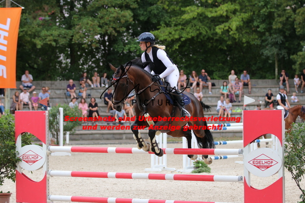 IMG_2314 | lmwpictures - Realisiert mit Pictrs.com