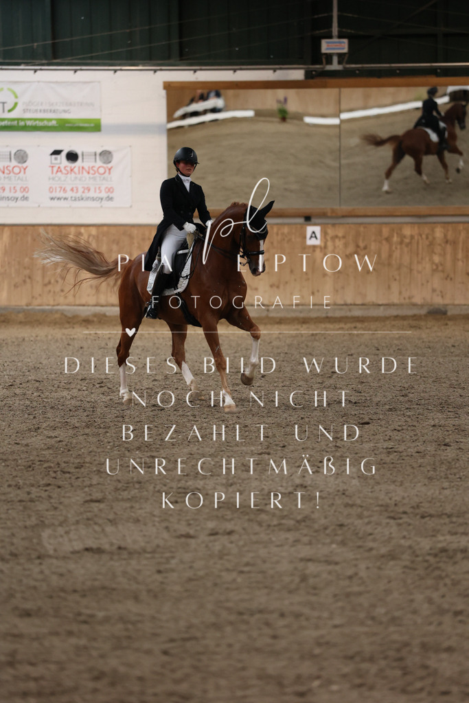 IMGM4650 | pl-fotografie