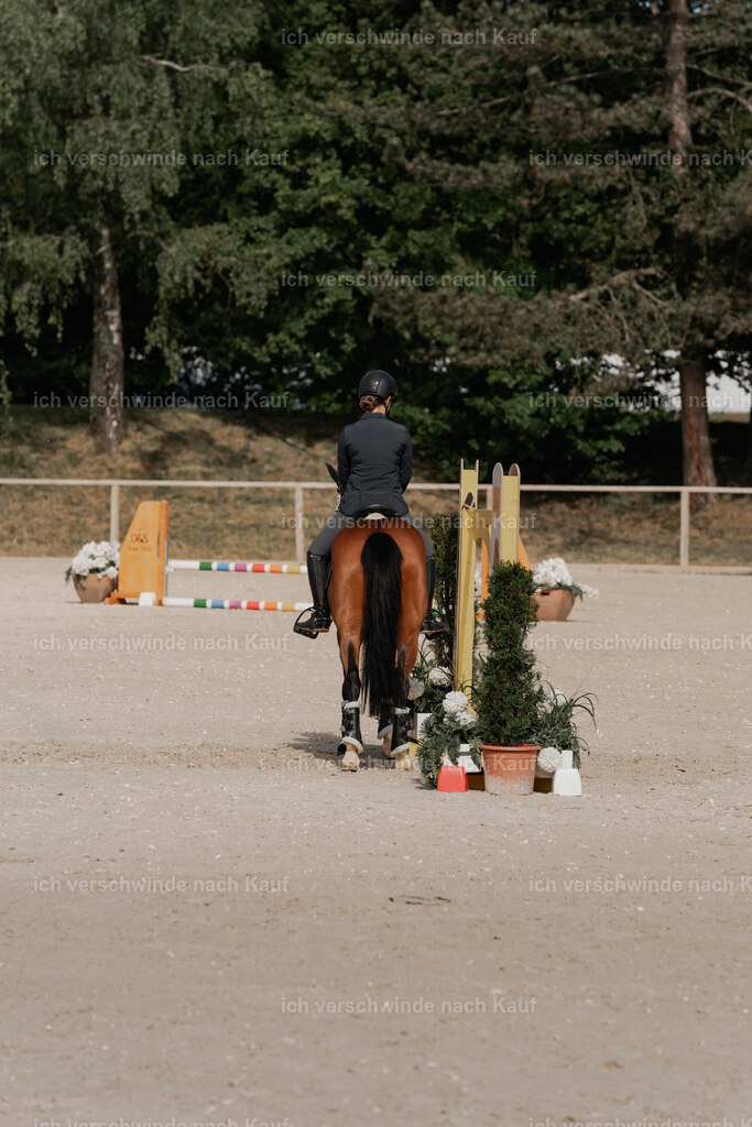 WE_ST_Stoib_337_PI2025_911 | Pferd International München 2025