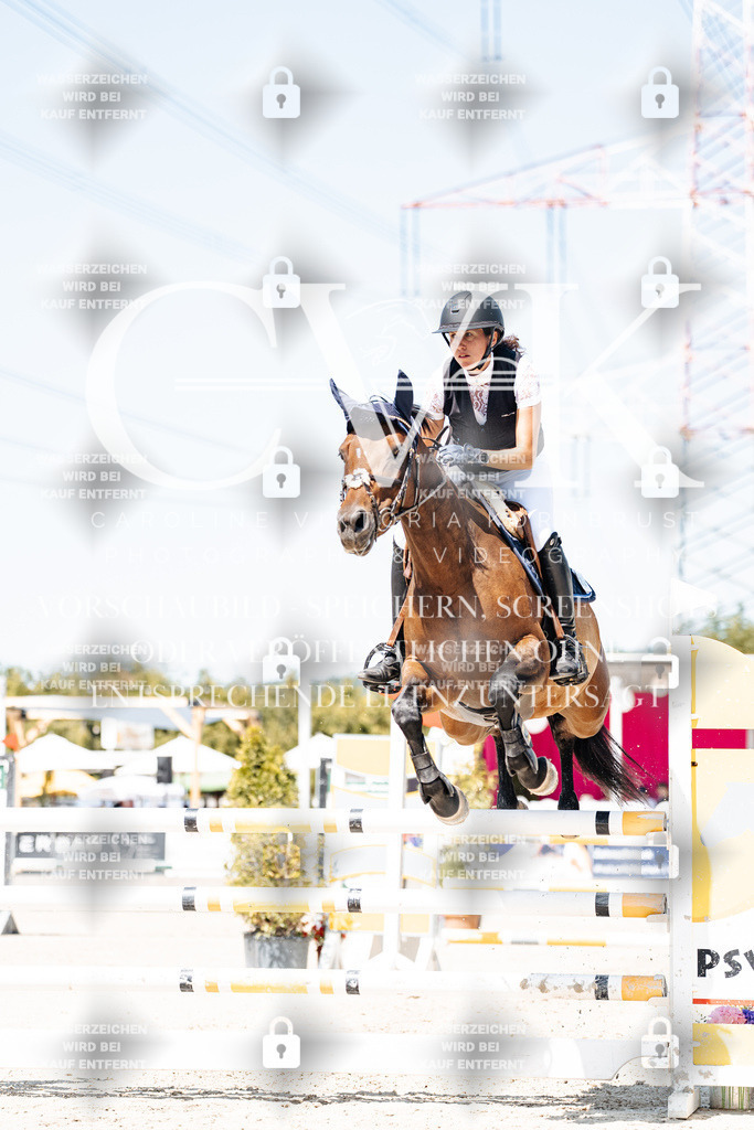 CK909785 | Turnierfotografie Pferdefotografie Trier Rheinland-Pfalz Pferdesport Reitsport Tierfotografie Sportfotografie Pferdevideo Pferdevideografie Equestrianvideography equestrianphotography  - Realisiert mit Pictrs.com