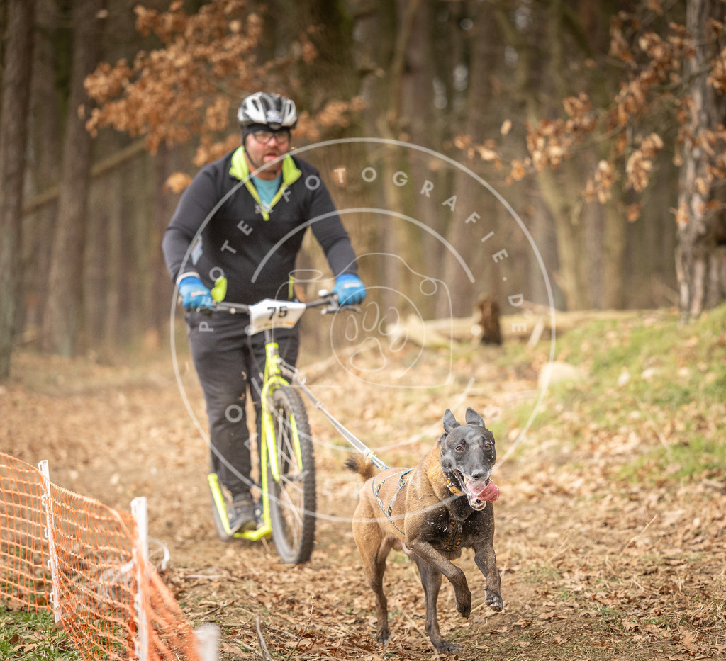 Pfotenfotografie_DV3A4233 | Hundefotografie, Tierfotograf, Pfotenfotografie, Fotoshooting Hund, Hunde Portrait, Hundesport, Hundeportraits, Heideshooting, Hunde, Sportfotograf, Hundefotograf, Turnierhundsport, THS,  - Realisiert mit Pictrs.com