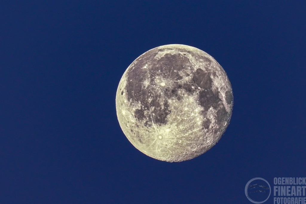 DSC09296 | Björn Thiemann; Ogenblick.de; Fotografie; Photograph; Landscape, Pellworm, Schleswig-Holstein; Inselfotograf; Inselfotografien; Wattenmeer; National-Park; Naturschutzgebiet; Leuchtturm; Lighthouse; Leinwandbilder; Kalender; Pellworm Kalender;  - Realisiert mit Pictrs.com