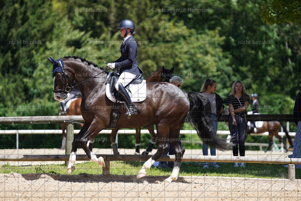 20240705-FAH03455 | Turnierbilder von Grafing, Reitsportbilder, Turnierfotos, Turnierfotografen Bayern, Pferdefotograf, Fotoagentur Herrmann