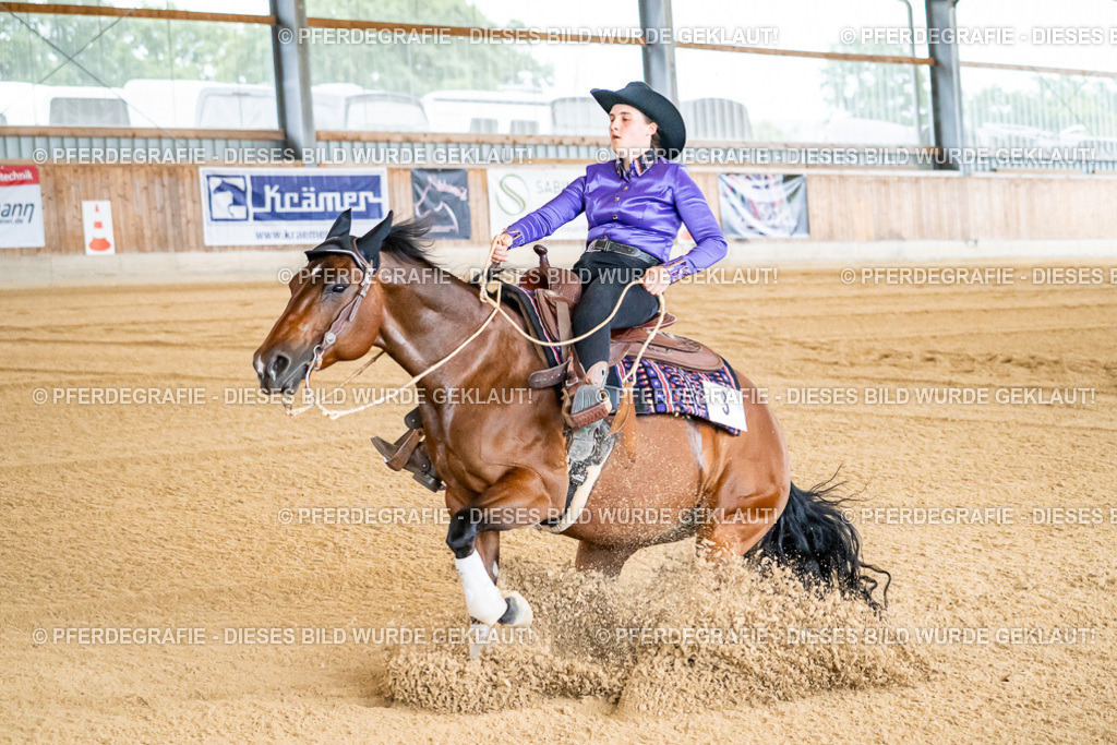 DSC06198 | Pferdegrafie