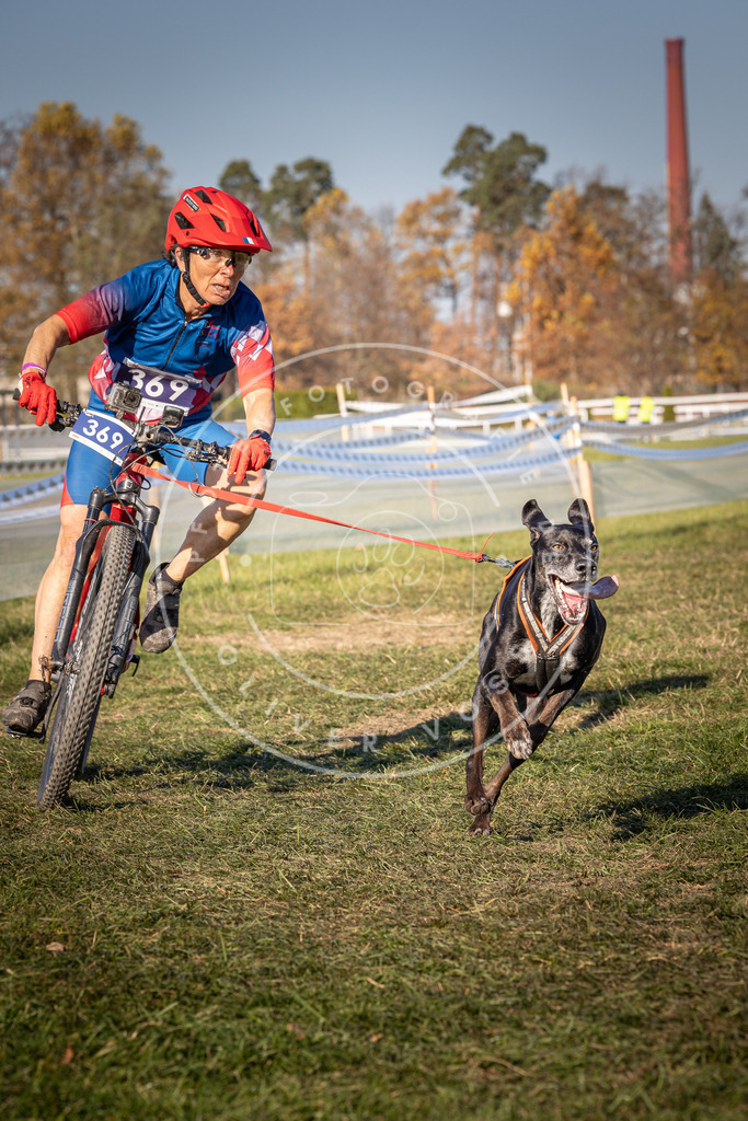 CaniXpix_0L8A6392 | Hundefotografie, Tierfotograf, Pfotenfotografie, Fotoshooting Hund, Hunde Portrait, Hundesport, Hundeportraits, Heideshooting, Hunde, Sportfotograf, Hundefotograf, Turnierhundsport, THS,  - Realisiert mit Pictrs.com