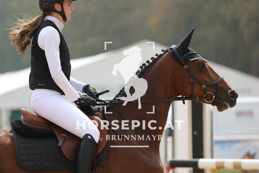 0P6A4581 | Willkommen bei Brunnmayr - Design & Fotografie – Ihrem Spezialisten für Reitturniere und Pferdeveranstaltungen in Oberösterreich, Salzburg und Bayern! Seit über 17 Jahren sind wir leidenschaftlich dabei.