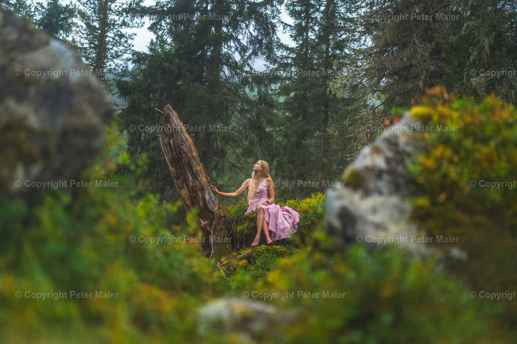 Debanttal_Erlebnisraum_Wald_23_Peter_Maier-707 | piet_flosse