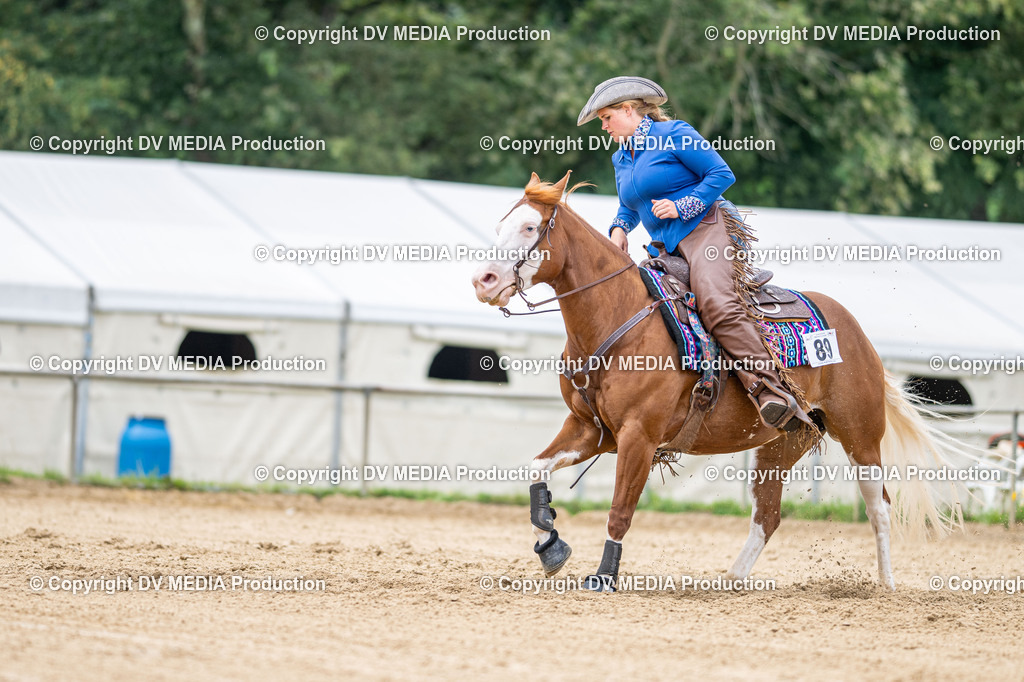 LM Heiligenwald Tag 3-1607 | dv-media-shop - Realisiert mit Pictrs.com