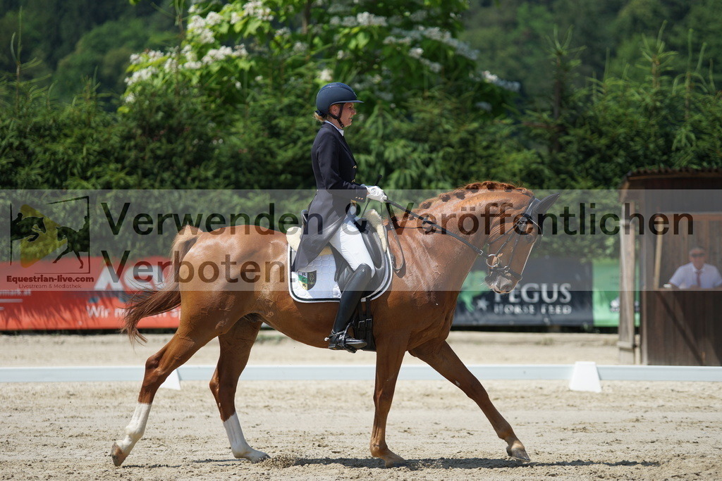 DSC05129 | equestrian-live-com
