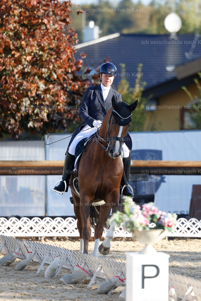 09_1-195-DRESSUR  S_  -StoibPH-5498 | working equitationturnier fotograf videograf stoibphotography marixx film working equitation deutschland reitsport turnierfotografie eventfotografie equestrian events