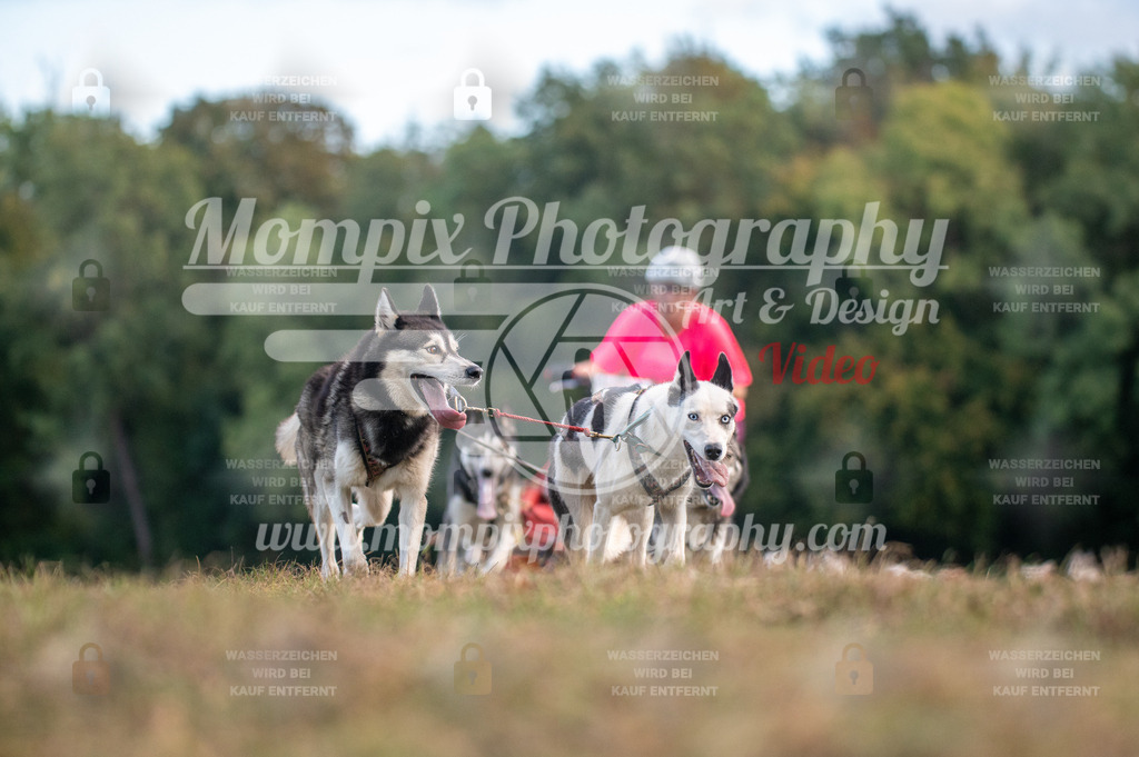 CDLBDB_15_10_2023_Dimanche-38 | PayLife