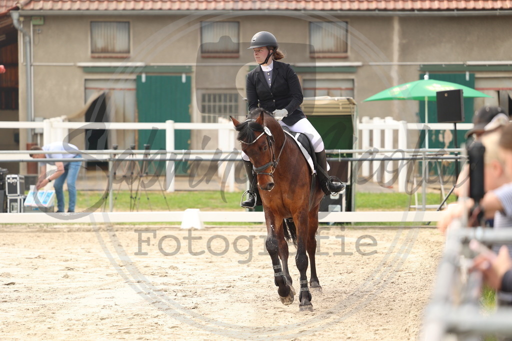 994A7558 | sabrinanicolaifotografie - Realisiert mit Pictrs.com