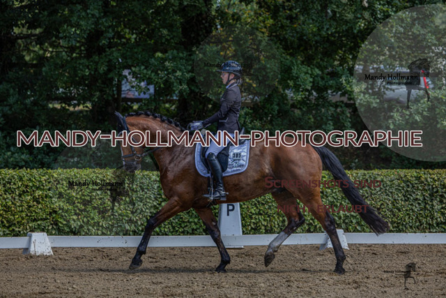 15.8.25 D1  DRE L (142 von 405) | mandyhollmannphotographie