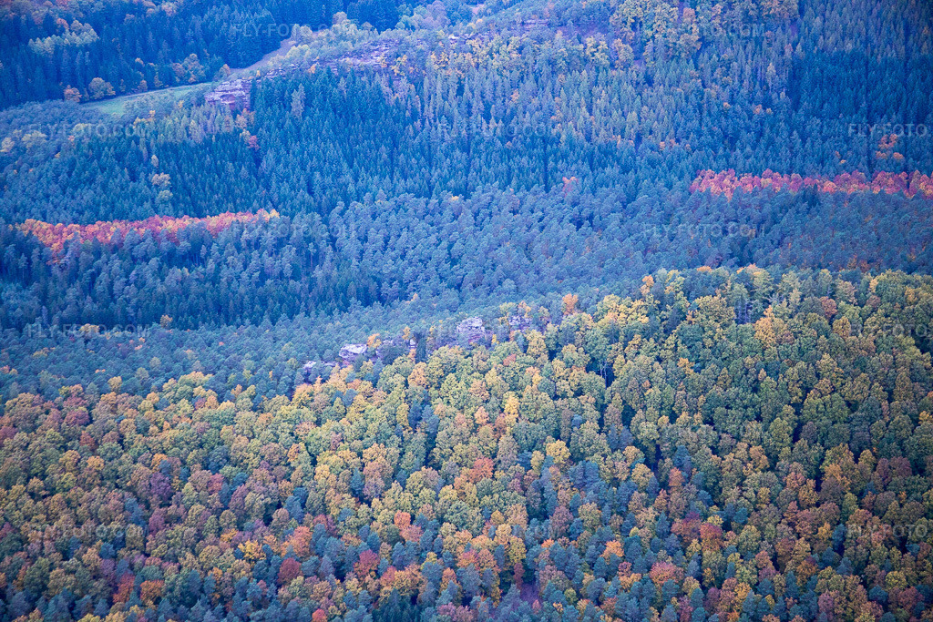 Aerial view: Autumn forest of the Northern Vosges near Dambach in Dambach in the state Bas-Rhin, France. – Photo: IMG_084661.jpg taken on 10/23/2015 by Werner Riehm/FLY-FOTO.com – Resolution of the original: 5472 x 3648 px