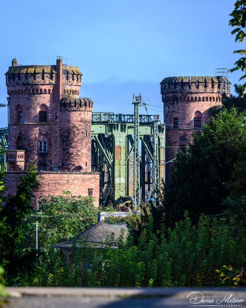 DSC_6990 2 | Fotografien, Fotos und Bilder aus Mainz, Frankfurt, Wiesbaden und anderen Orten auf der Welt - Fotografiert von Darius Metzner