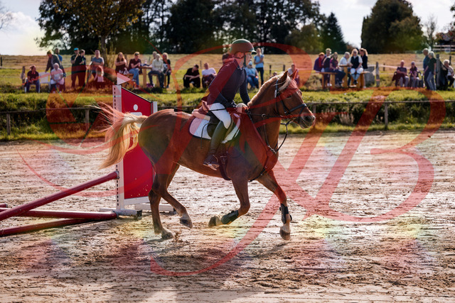 2026_10_03_Siefer-Hof_144651_Z81_23064383 | Professionelle Reitsport-, Turnier- und Eventfotografie von Robert Broda. Galerien mit ausgewählten und bearbeiteten Bildern direkt online ansehen und bestellen.