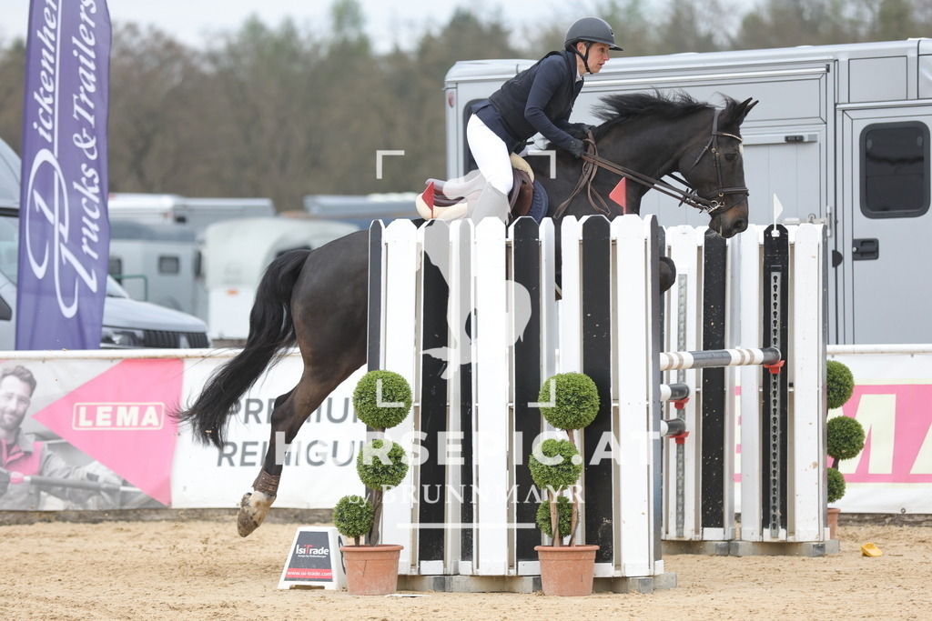 0P6A3974 | Willkommen bei Brunnmayr - Design & Fotografie – Ihrem Spezialisten für Reitturniere und Pferdeveranstaltungen in Oberösterreich, Salzburg und Bayern! Seit über 17 Jahren sind wir leidenschaftlich dabei.