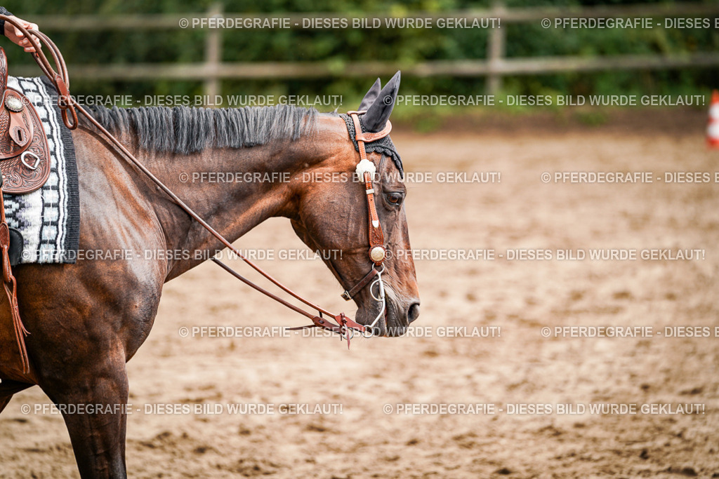 DSC04816 | Pferdegrafie