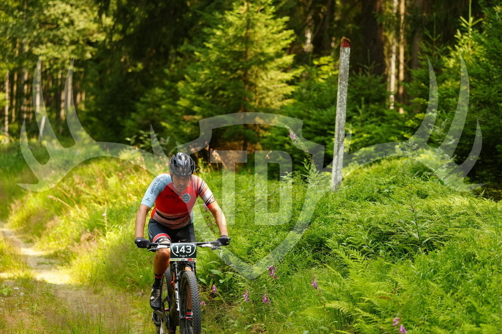 FC103404 | Fotogalerie der Treibjagd im Dunkelwald - Dein MTB Etappenrennen im Erzgebirge - Realisiert mit Pictrs.com