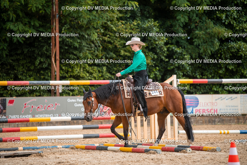 ZS2_7723 | dv-media-shop - Realisiert mit Pictrs.com