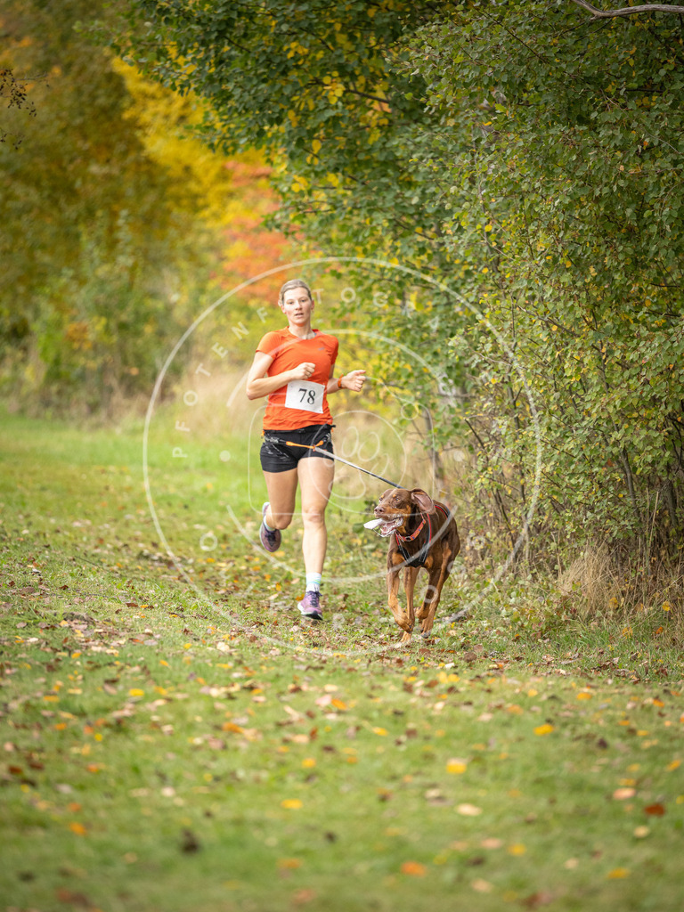 Pfotenfotografie_DV3A2970 | Hundefotografie, Tierfotograf, Pfotenfotografie, Fotoshooting Hund, Hunde Portrait, Hundesport, Hundeportraits, Heideshooting, Hunde, Sportfotograf, Hundefotograf, Turnierhundsport, THS,  - Realisiert mit Pictrs.com