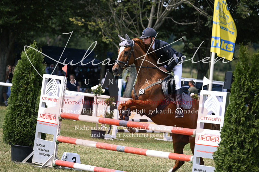 DSC_0373 | Pferde- und Turnierfotografie in Westsachsen. Pferdeportraits, Auftragszeichnungen und intuitive Kunst.
