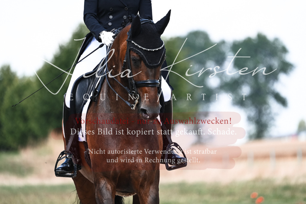 DSC_3094 | Pferde- und Turnierfotografie in Westsachsen. Pferdeportraits, Auftragszeichnungen und intuitive Kunst.