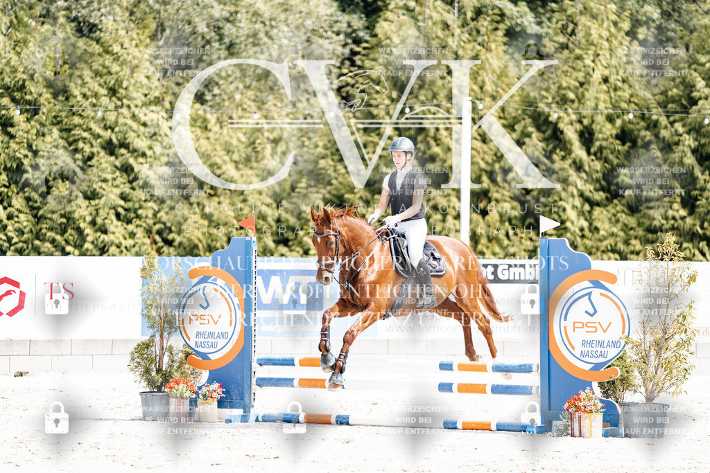 CK906365 | Turnierfotografie Pferdefotografie Trier Rheinland-Pfalz Pferdesport Reitsport Tierfotografie Sportfotografie Pferdevideo Pferdevideografie Equestrianvideography equestrianphotography  - Realisiert mit Pictrs.com
