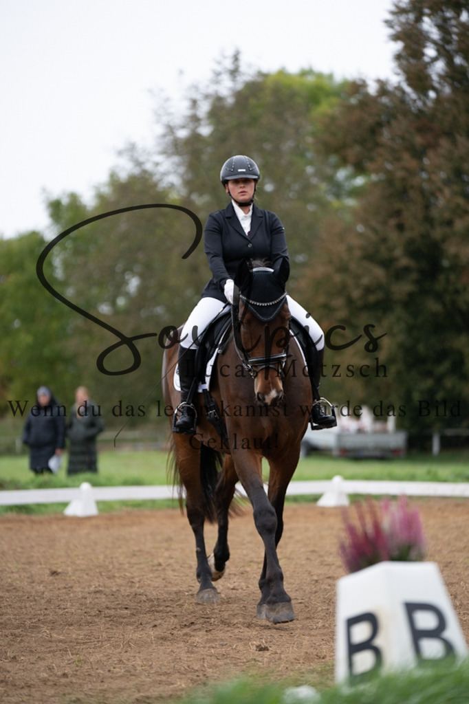 A7V05575 | Pferdefotograf