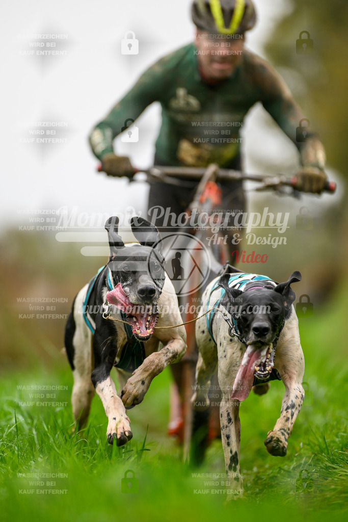 MompixPhotography_20TSB_E8_DS2-9 | PayLife