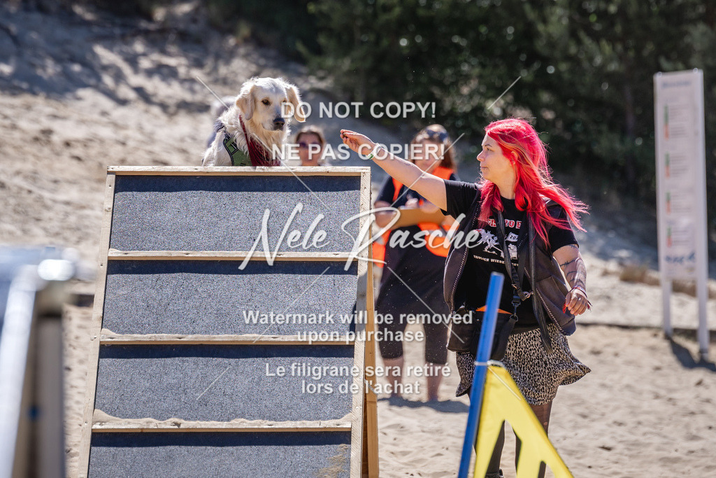 NR__1502 | nelerasche