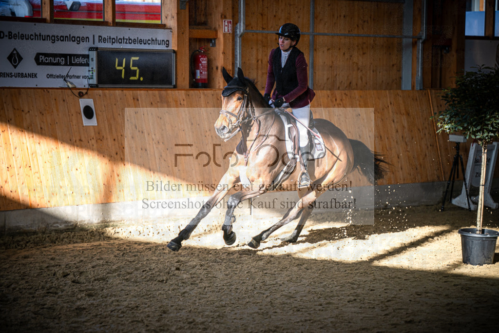 DOS_1676 | Entdecke hochwertige Reitturnierfotos von Foto Oger. Professionell, emotional und authentisch – jetzt Lieblingsmomente im Shop bestellen.Deutschlandweite Turnierfotografie. - Realisiert mit Pictrs.com