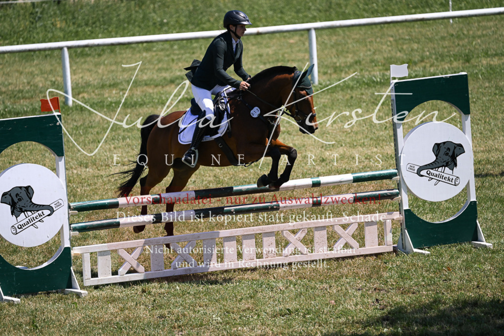 DSC_0012 | Pferde- und Turnierfotografie in Westsachsen. Pferdeportraits, Auftragszeichnungen und intuitive Kunst.