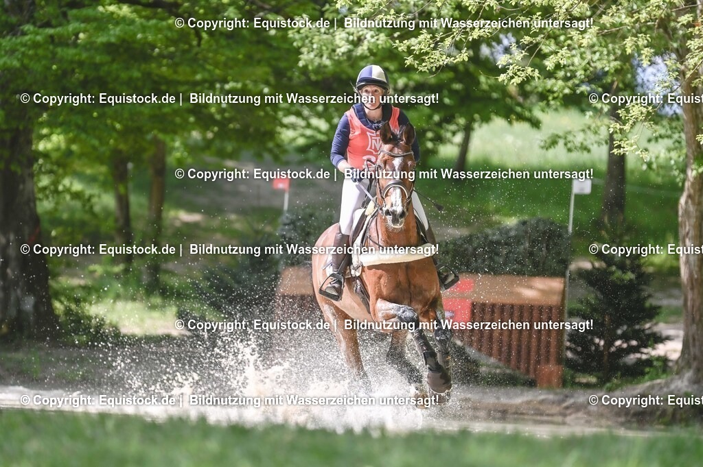 20250517_CCI2_Gelände_1026 | Foto: Thomas Hartig