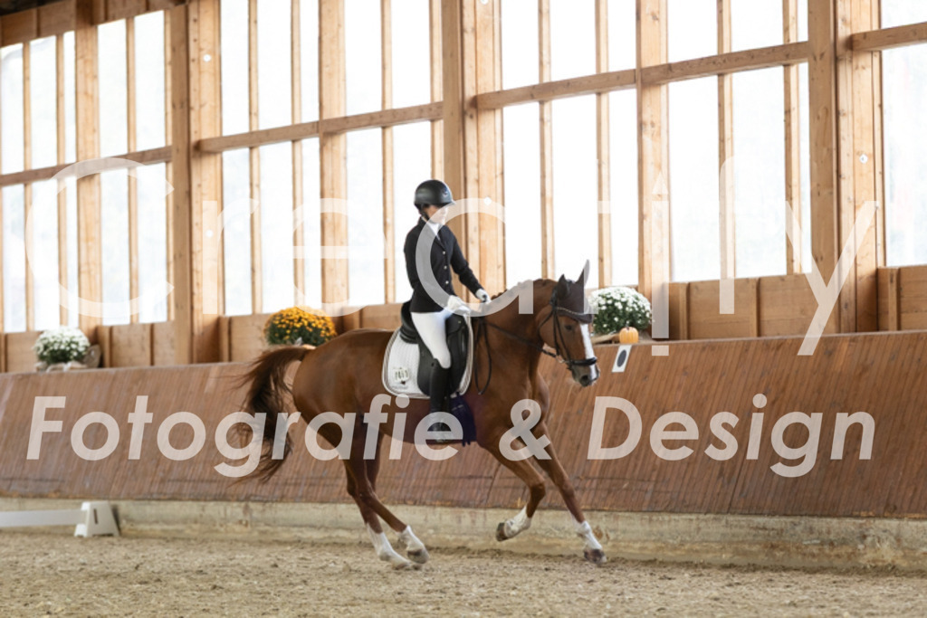 IMG_5884 | Creatify Fotografie