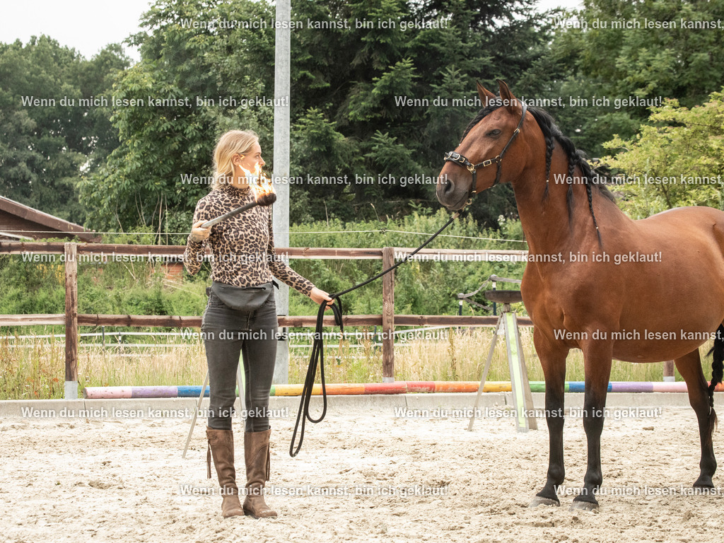 598A7685 | photographylinaismer - Realisiert mit Pictrs.com