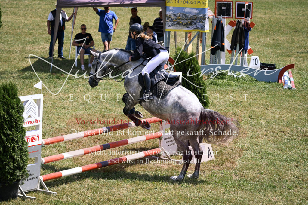 DSC_9595 | Pferde- und Turnierfotografie in Westsachsen. Pferdeportraits, Auftragszeichnungen und intuitive Kunst.