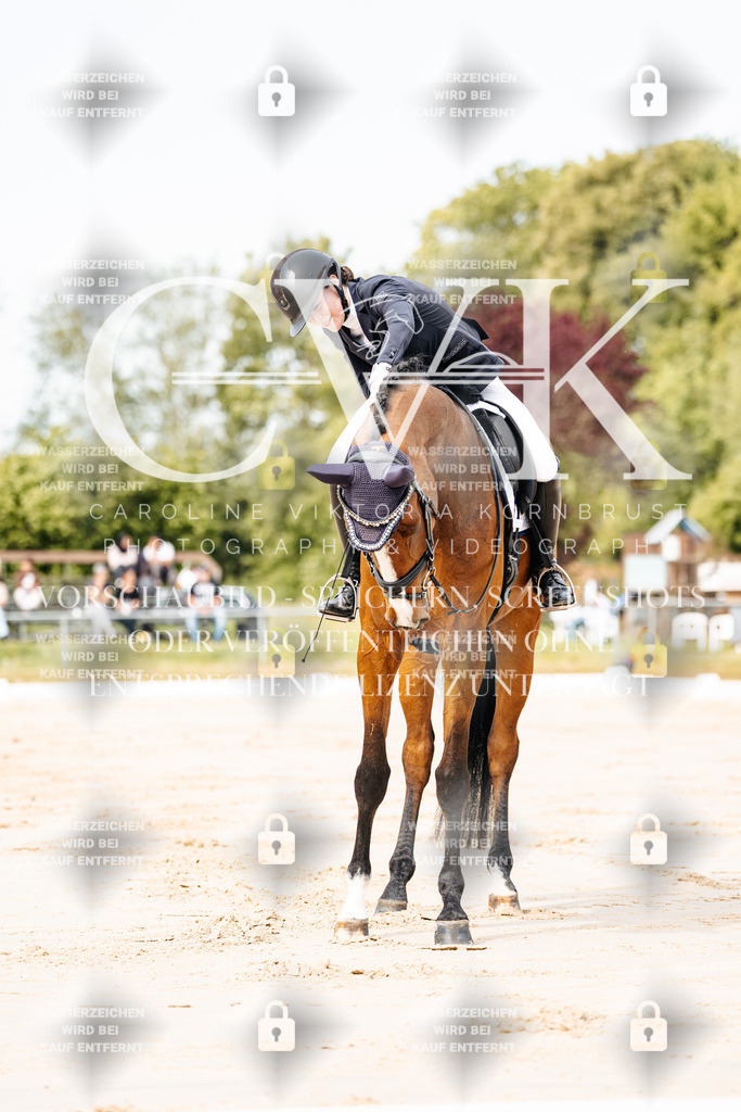 CK900727 | Turnierfotografie Pferdefotografie Trier Rheinland-Pfalz Pferdesport Reitsport Tierfotografie Sportfotografie Pferdevideo Pferdevideografie Equestrianvideography equestrianphotography  - Realisiert mit Pictrs.com