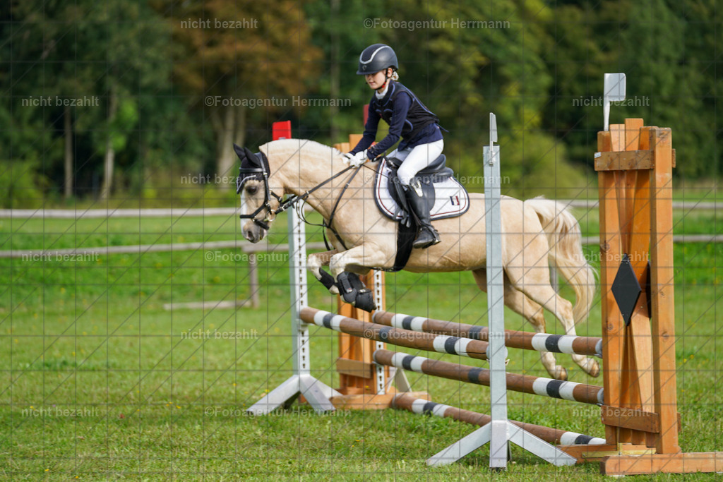 20230917-FAH09153 | Landsberg am Lech, 2023, Kaufbeuren, Kempten, Allgäu, Turnierfotografen Bayern, Fotoagentur Herrmann, Turnierbilder, Reitsport Fotos, Pferdefotograf, Augsburg, Bad Tölz, Dachau, Karlsfeld, Memmingen, Buchloe, Schwabmünchen
