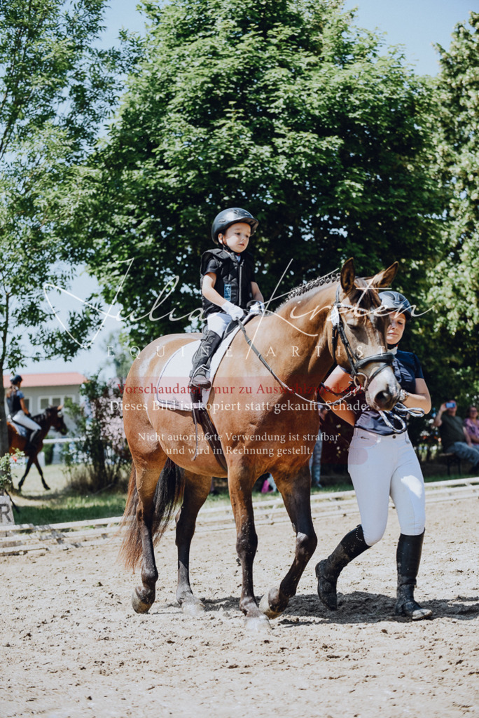 DSC_2496 | Pferde- und Turnierfotografie in Westsachsen. Pferdeportraits, Auftragszeichnungen und intuitive Kunst.