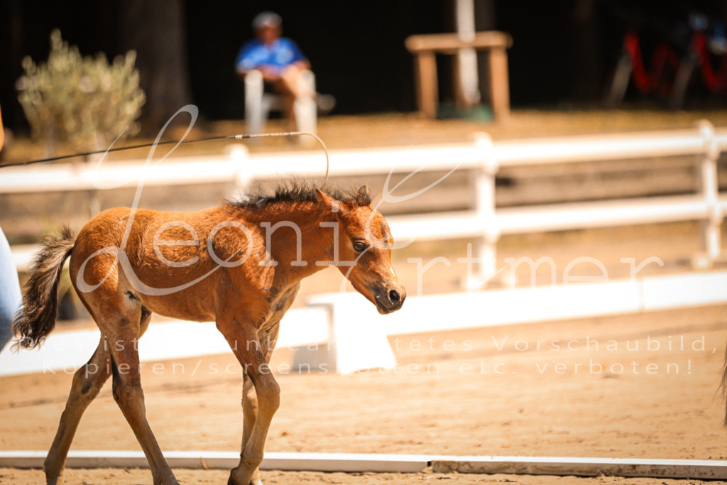 04.DoWP00049 | Leoni Ertmer Photography - Realisiert mit Pictrs.com