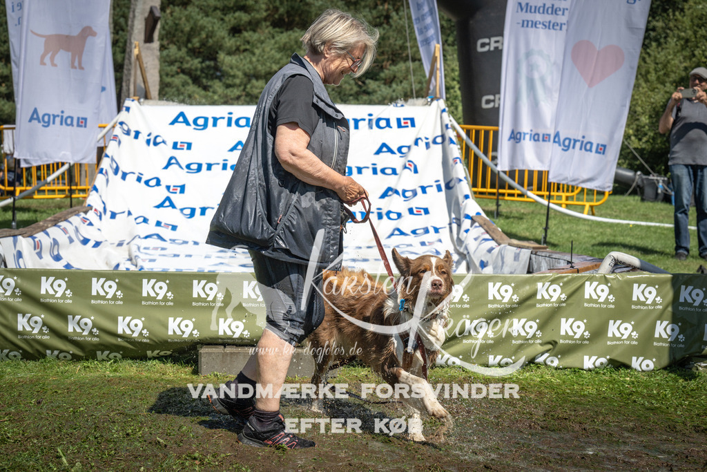 1351_ZZ91613 | kk-dogfotos