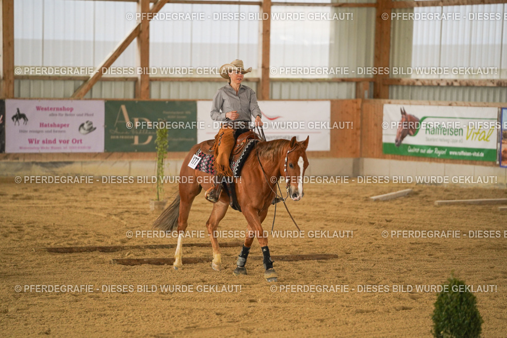 DSC04568 | Pferdegrafie