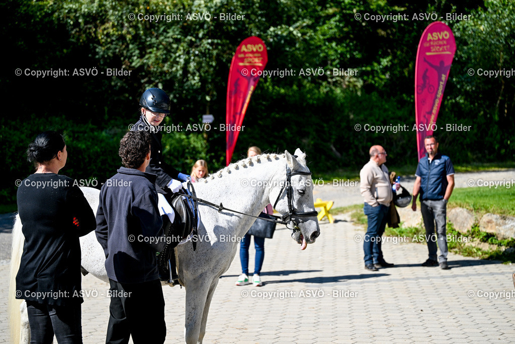 ASVÖ_ Reiten Bezirksmeisterschaft_ 24.08.2025-7 | 24.08.2025, AUT, ASVÖ, Reiten Bezirksmeisterschaft 2025Dressur und Springreiten©fodo.media / Harald Dostal - Realisiert mit Pictrs.com